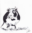 black and white cow 1
