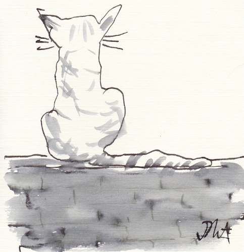 cat back on wall