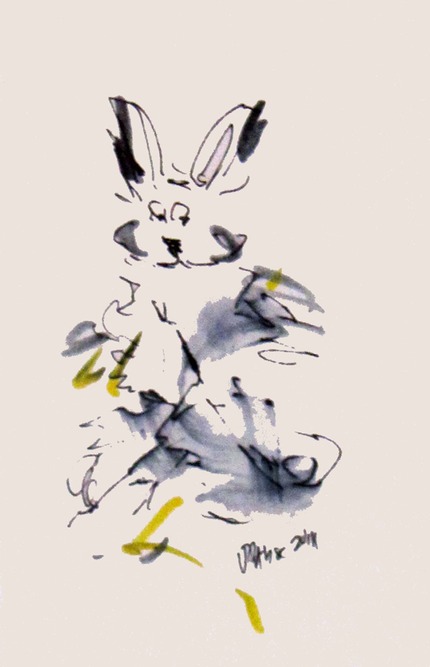 cwazywabbit sm