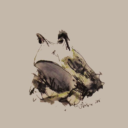 frog sm