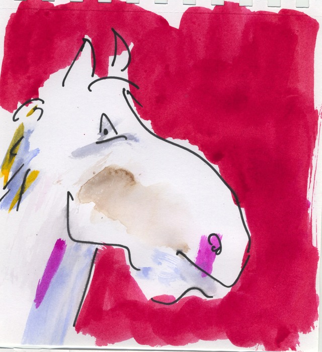 horse1