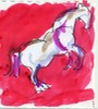 horse5