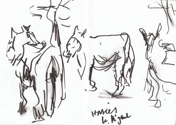 horses at reganel
