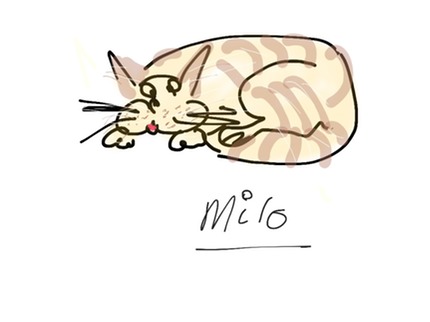IMG 0052