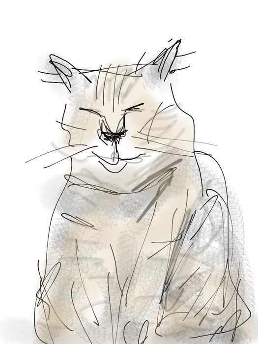 milo ipad