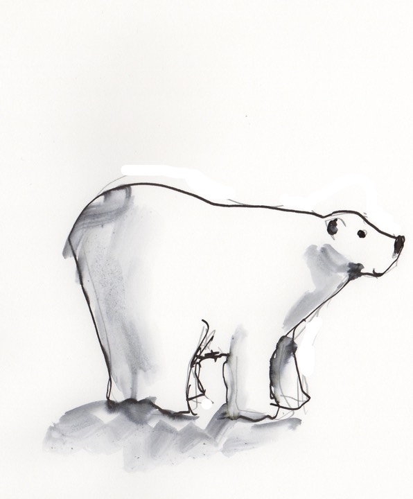 Polar bear 2
