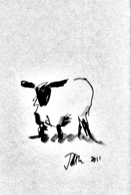 sheeep