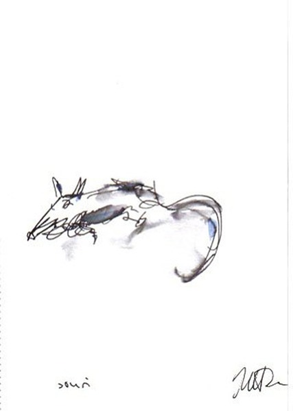 souri